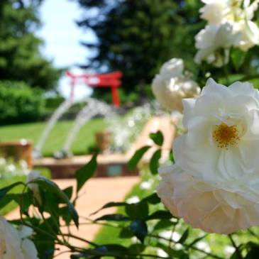 Mariage Eyrignac Dordogne Périgord
